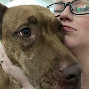 Meet your Posher, Caitlinn